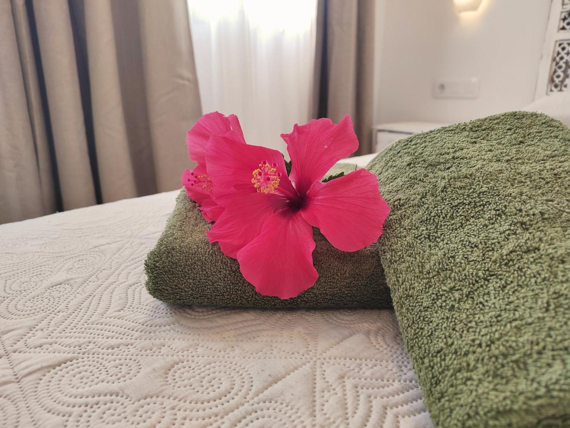 Tamarindo 27 Pool Front Next To The Dunes, Free Wifi كوراليهو المظهر الخارجي الصورة